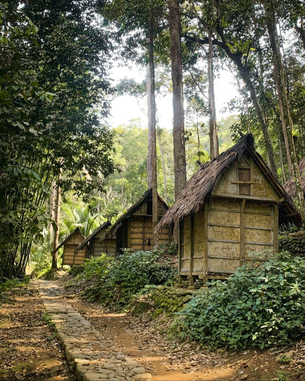 Saba Budaya Baduy